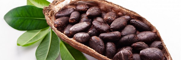 Le Cacao